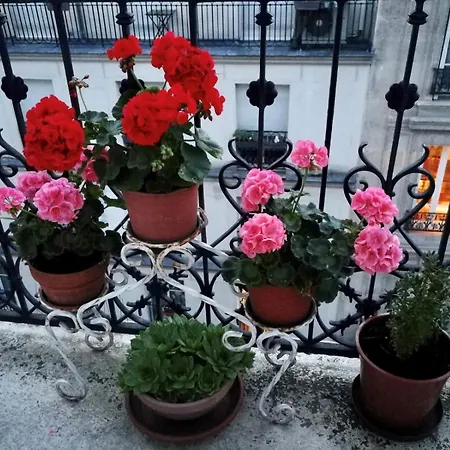 Daire Sainte Elisabeth - Republique